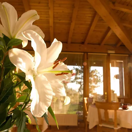 Casa Camila Oviédo