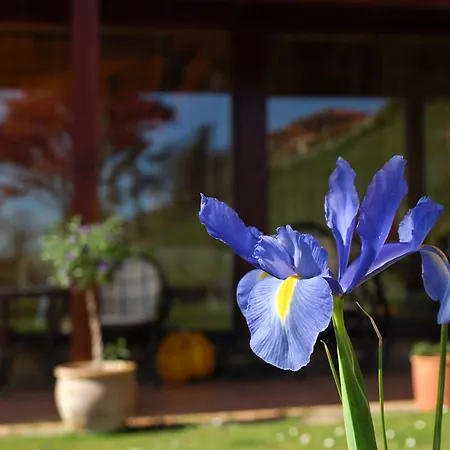 Отель Casa Camila 3*