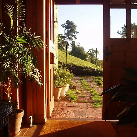 Отель Casa Camila 3*