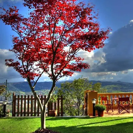 Casa Camila 3*