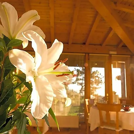 Casa Camila Hotel Oviedo
