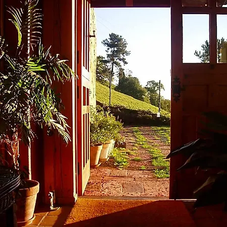 Casa Camila 3* Oviedo